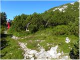 Planina Ravne - Mala Ojstrica